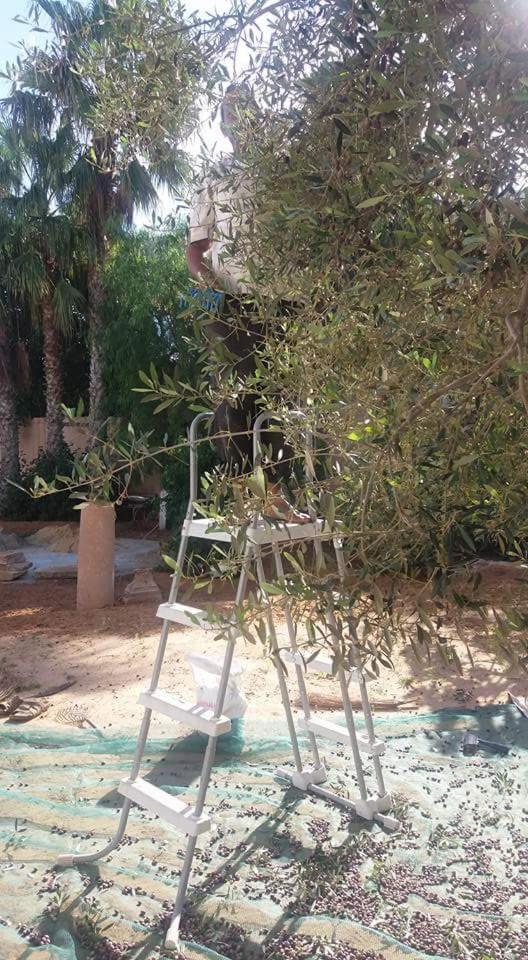 Maison D'Hotes Dar Salma Sfax ภายนอก รูปภาพ